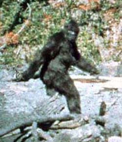 [Image: lento-bigfoot.jpg]