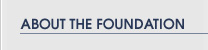 About the Foundation